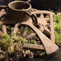 juletræsfod-rusten-jern-grangrene-stjerneblomster-gammel-julepynt